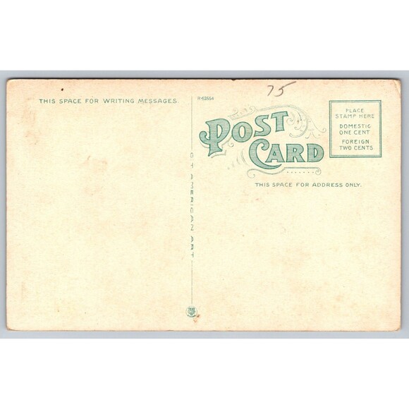 Postcard Michigan Detroit Grand Circus Park West by Night Moonlight c1920s MI - Picture 2 of 2